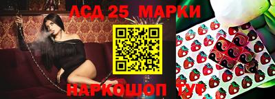 мяу мяу мука Краснознаменск