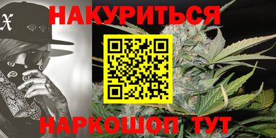 мяу мяу мука Краснознаменск