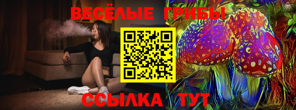 Коркино  Псилоцибиновые грибы MAGIC MUSHROOMS  Вход с VPN 